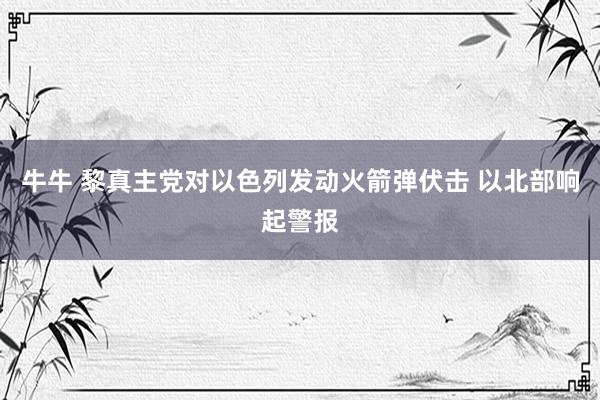 牛牛 黎真主党对以色列发动火箭弹伏击 以北部响起警报
