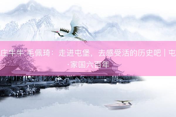 抢庄牛牛 毛佩琦：走进屯堡，去感受活的历史吧 | 屯堡·家国六百年