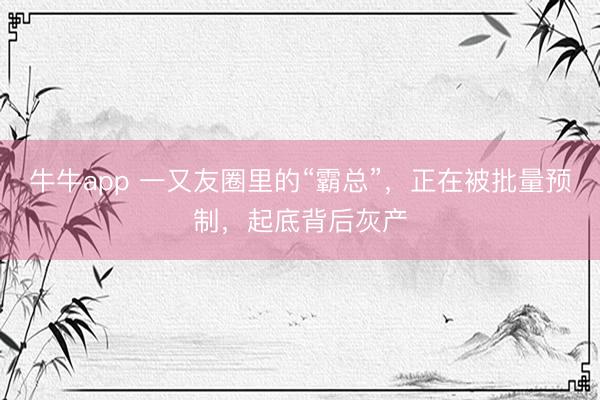 牛牛app 一又友圈里的“霸总”，正在被批量预制，起底背后灰产