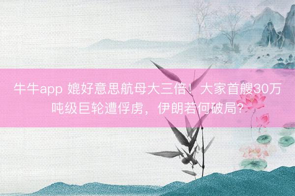 牛牛app 媲好意思航母大三倍！大家首艘30万吨级巨轮遭俘虏，伊朗若何破局？