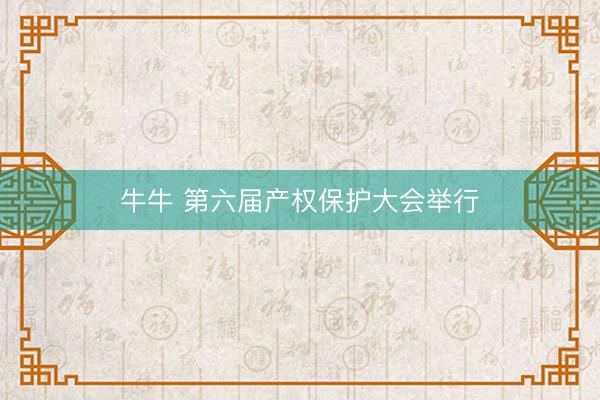 牛牛 第六届产权保护大会举行